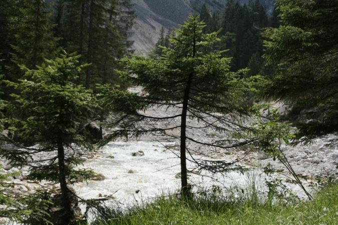 Landgasthof Kirchmayer Farchant Exteriör bild