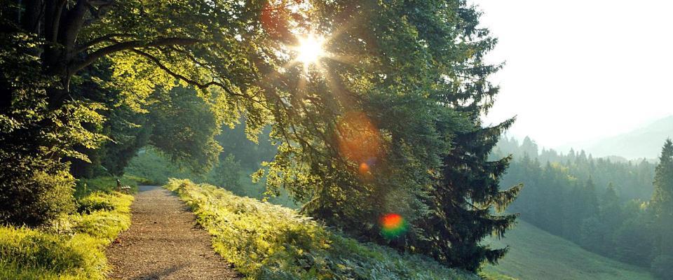 Landgasthof Kirchmayer Farchant Exteriör bild